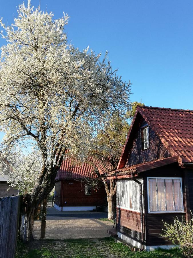 Domek Zapiecek Białowieża 外观 照片